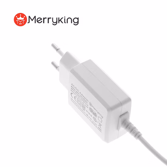 12V 1A AC DC chargeur de voyage mural CCTV LCD médical LED alimentation de téléphone 5V 6V 8V 9V 10V 14V 15V 18V 20V 24V 36V 0.5A 1.5A 2A 2.5A 3A 4A adaptateur d'alimentation à découpage
